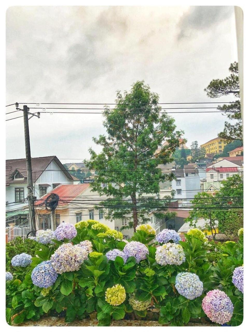 Villa Biet Thu Trang Đà Lạt Exterior foto